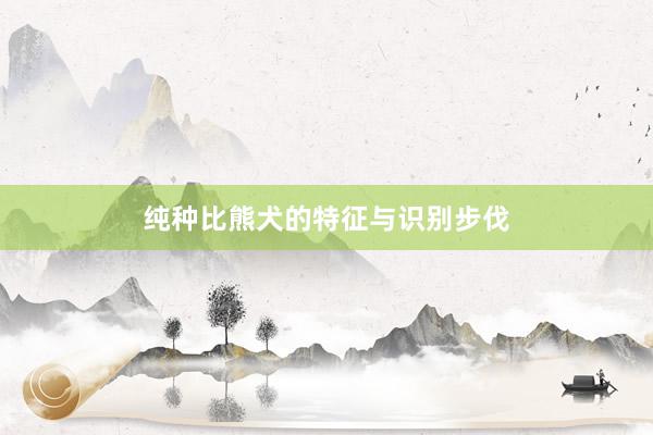 纯种比熊犬的特征与识别步伐